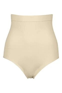 BOOHOO High Waist Control Brief 6 BOOHOO High Waist Control Brief -Sea Vibe Together female nude high waist control brief 2